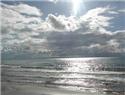 Cottage rental Midland (DI-9999)