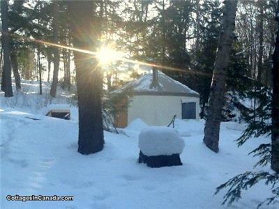 Muskoka Waterfront Yurt & Cabin on 11 private acres! 250+HST/ngt. Bring your pet free:)