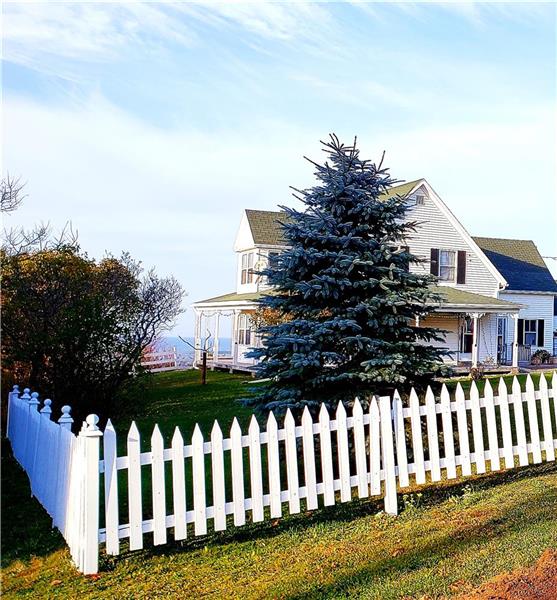 The Princess & The Sea