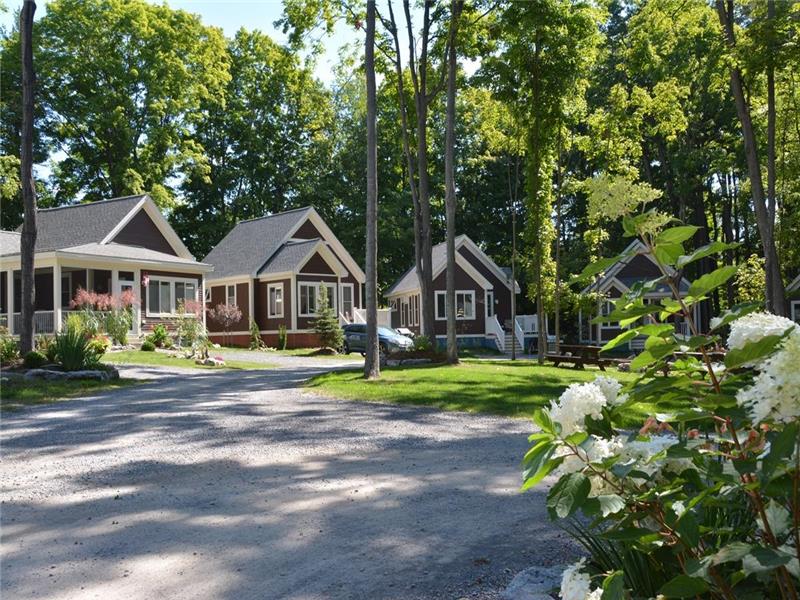 Dog Friendly Prince Edward County Dog Friendly Prince Edward County