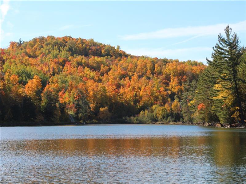 Miller Lodge, Private Getaway 25 min. from Downtown Ottawa - Hot tub - High Speed Fiber Internet