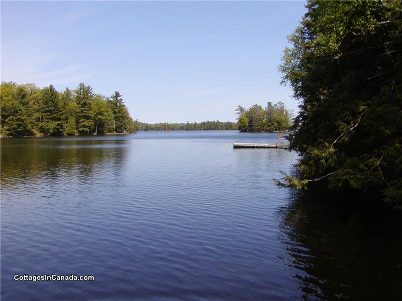 Logged Off Cottage Be Truly Tichborne Cottage Rental Gl