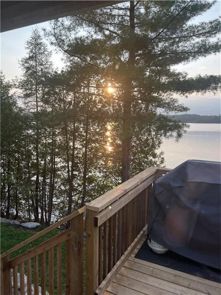 O'Malleys Escape - Paudash Lake - 2026 Summer Availability