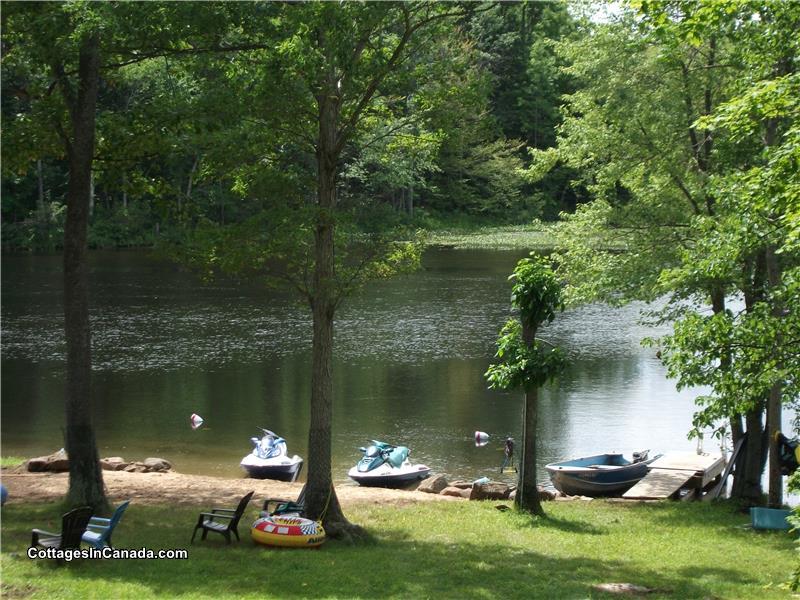 Deer Crest Cottage On Crowe Havelock Cottage Rental Gl 19343