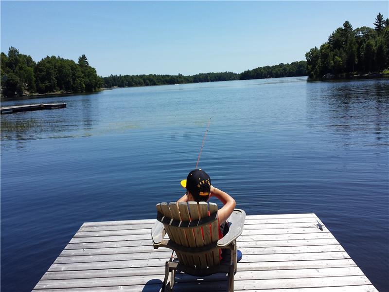 Beautiful Muskoka Lake Cottage Bala Cottage Rental PL19823