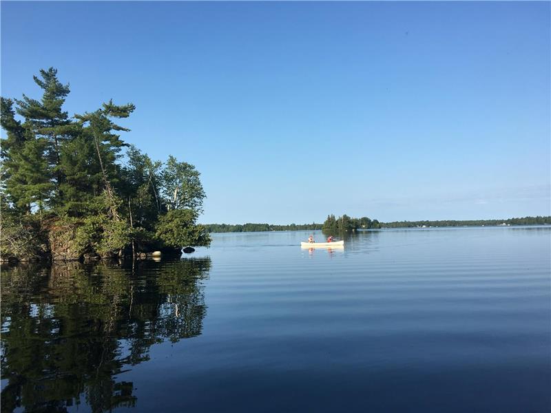 Rustic Family Log Haven on beautifull Sharbot Lake  with 99 Islands,36 miles shoreline,treed lot