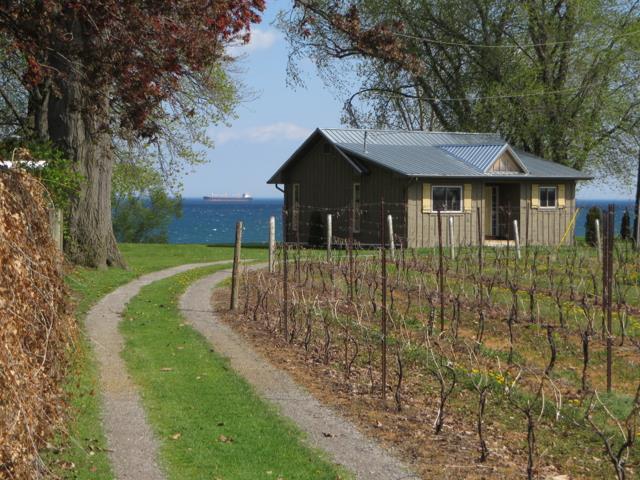 The Lake House Farm Guest Cottage St Catharines Cottage Rental