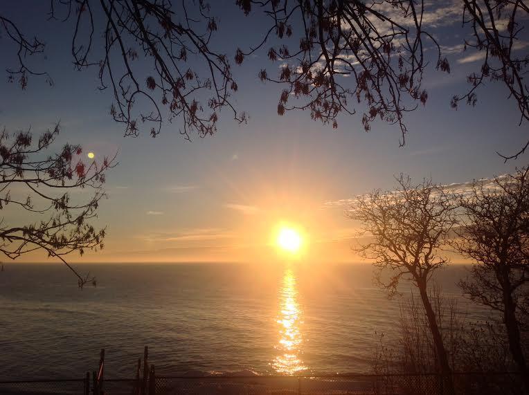 Lake Erie Enchanted Selkirk Cottage Rental Di 23699