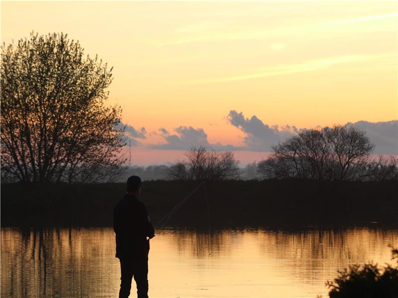 Your own Sandy beach Overlooking Lake Erie and a canal! 3 beds 2 bath newly renovated beach house!