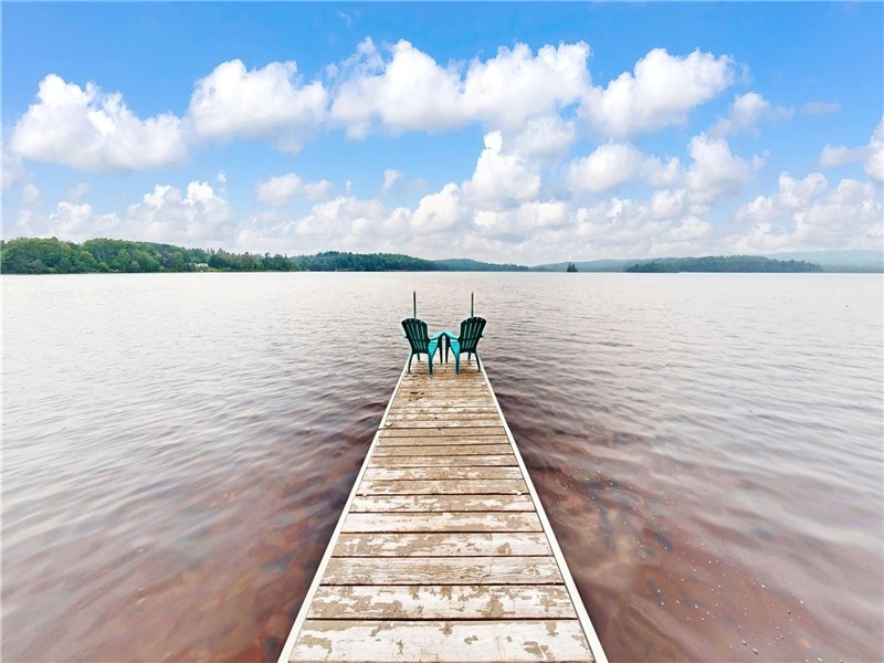 OCR - White Birch Breeze F569, Forest Lake, South River