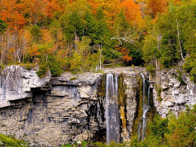 Peaceful Retreat Near Bruce Trail with Waterfall Hikes & Walks to the Lake