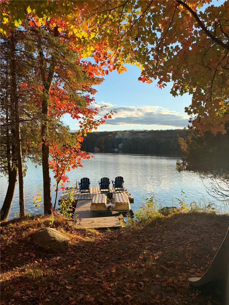 Cecebe Retreat( North Muskoka Vacation Cabin)