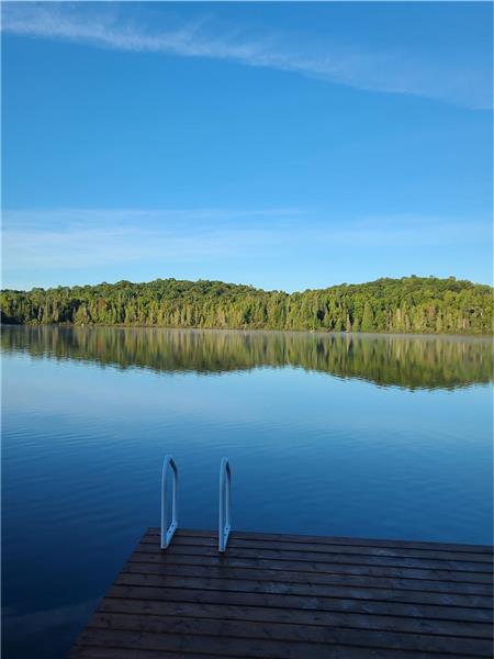 The Hidden Pearl- 5br, new, waterfront & quiet cottage near Halliburton. Enjoy fishing, lake W kids