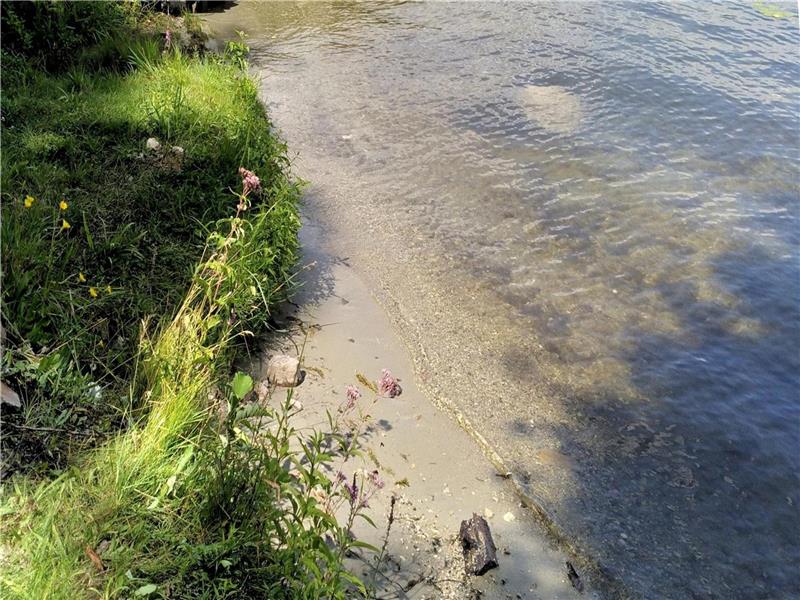 BURRIDGE LAKE COTTAGE-now $1000/wk, max 4: Up to 6 with additional $50/night