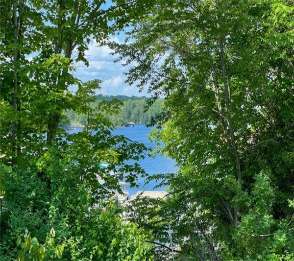 OCR - Footprints To Joe, F490, Views of Lake Joseph, Mactier