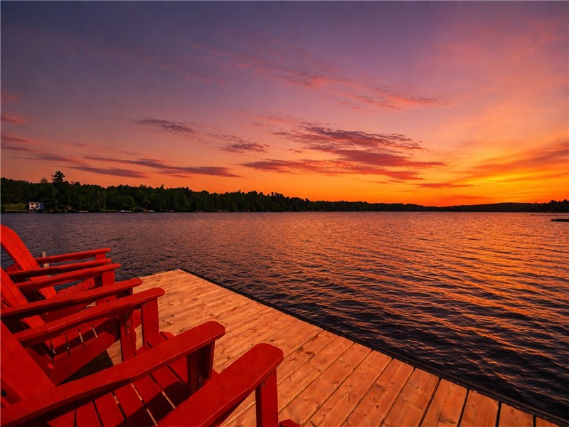 Private Lakefront Cottage with 80 Acre Forest Trails | Hot Tub & Sauna