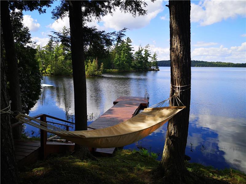 Sunset Lakeview Cottage -  Algonquin / Haliburton Highlands / Bancroft