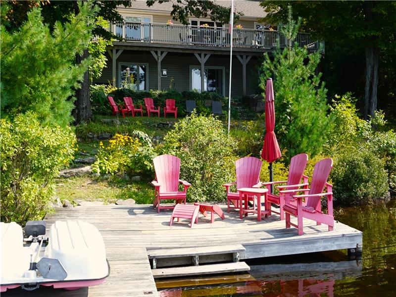 OCR  Bass Bliss F622