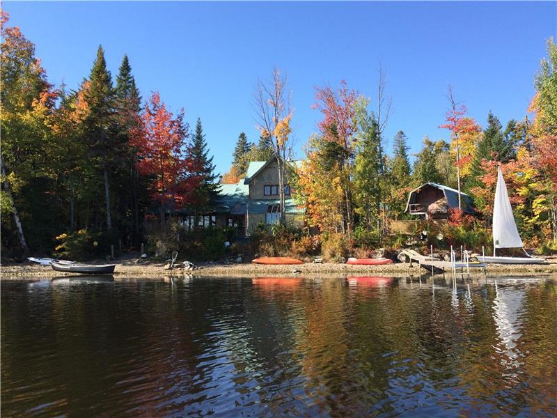 Le Repaire de Tom au Camp Comfort : Un Sanctuaire pour les Naturalistes et les Cinéphiles