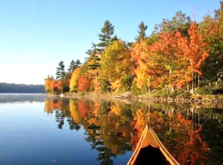 Waterfront Cabin with Exceptional Privacy- Heated Outdoor Shower