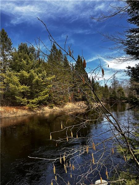 The Funky A-Frame-RiverFront!