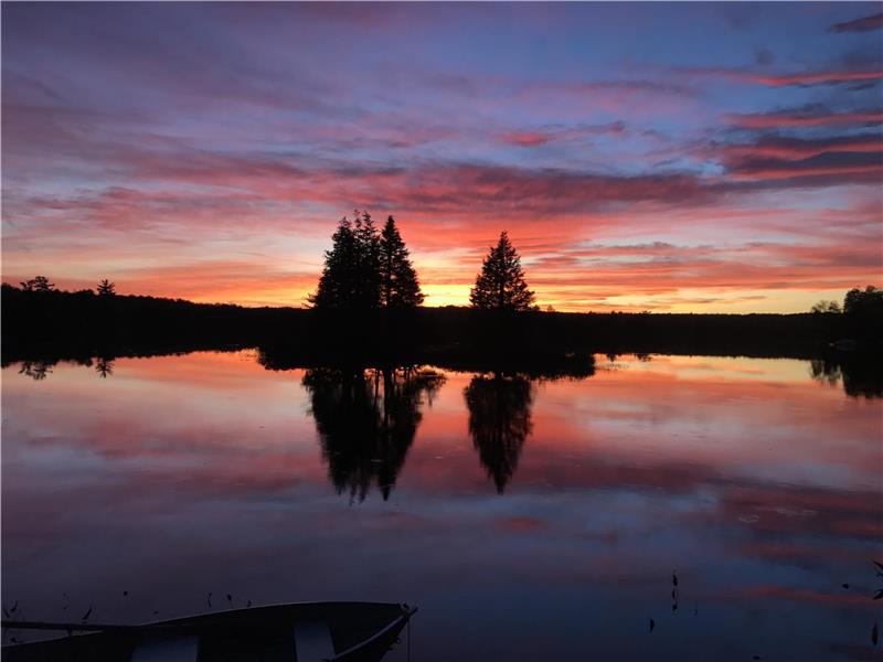 Chalet Squirrel Away - Lac tranquille, jacuzzi extérieur, sauna, canoë, kayaks, SUP, 500 DVD