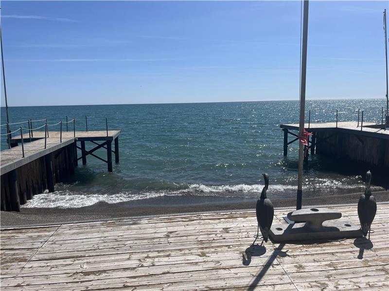 Water's Edge Retreat