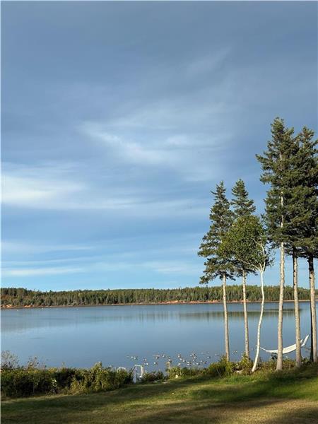 Cottage on the Cardigan River