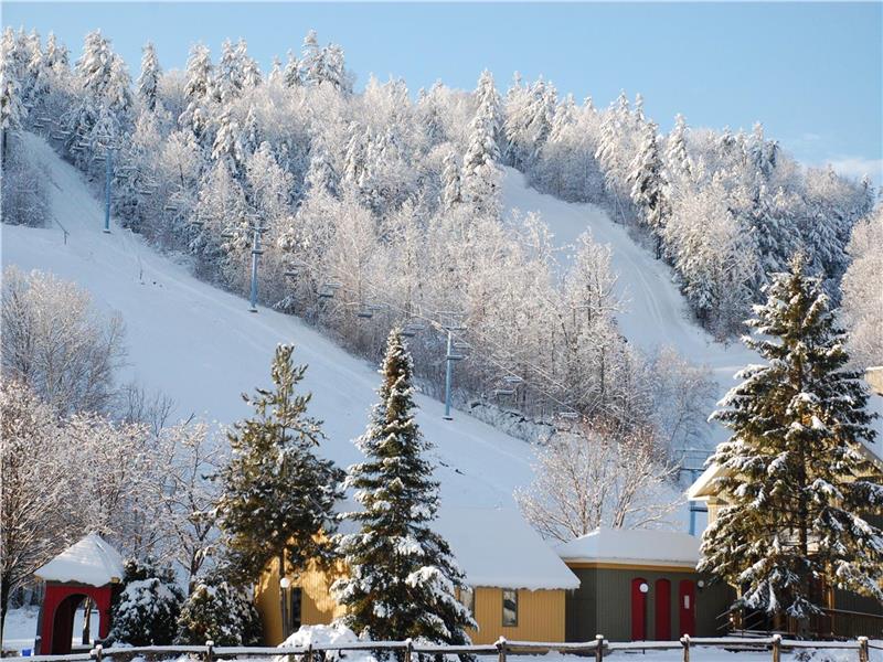 Calabogie Lakehouse beachfront cottage - Book your Winter Getaway