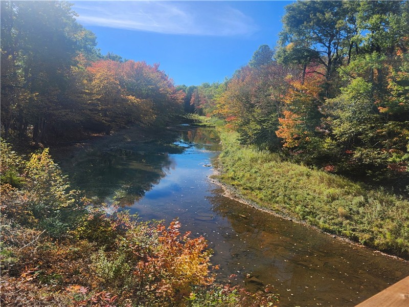 Little  river wilderness retreat