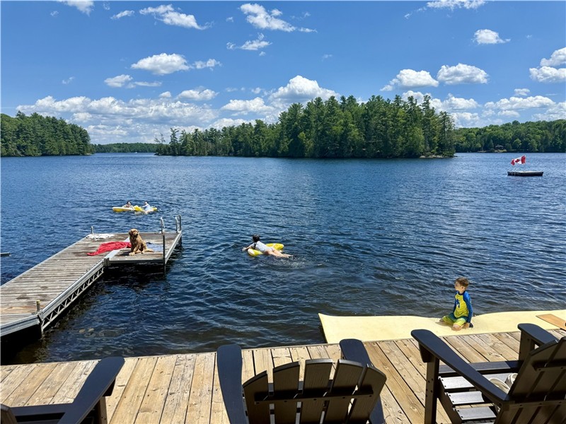 NEW! The Point at Sharbot Lake