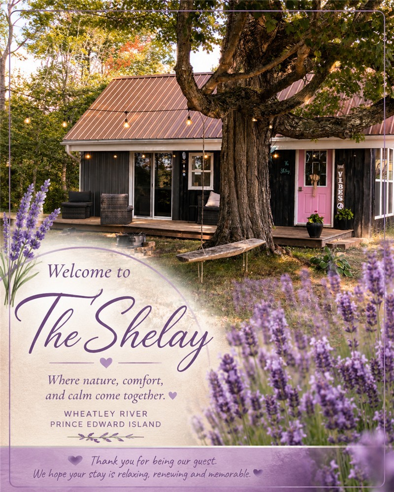 The Shelay