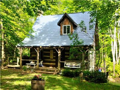Jolie petit chalet en bois ronds