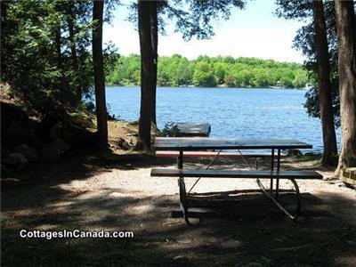 Charleston Lake - Private, Great Waterfront With Beach + WIFI. Big Discounts for MULTIPLE WEEKS.