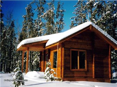 Mica Mountain Lodge & log cabins