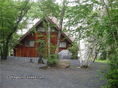 Lakefront Cottage Lake Of The Woods