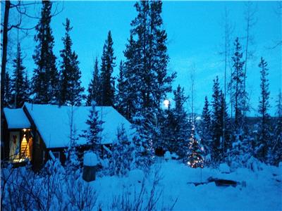 Private cottage/ cabin close to Calgary on large forested acreage Available for Christmas!