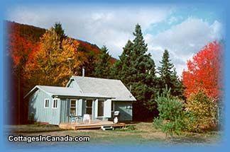 Secluded Cottage near St. Ann's Bay