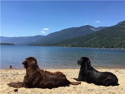 Pet Friendly Cozy Cottage for Two in the Kootenay Rockies close to Nelson (NO Pet fee)
