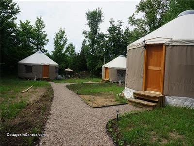 EcoFiest Yurts