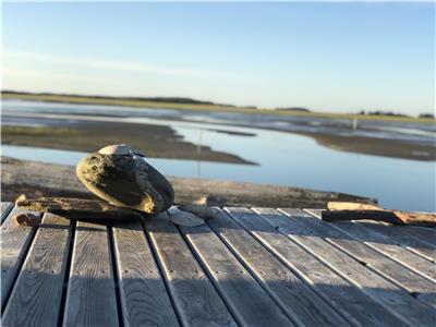 Clam Harbour Beach Cottage