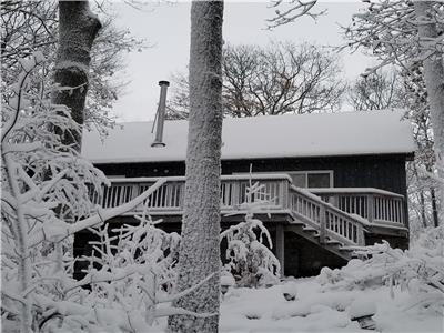 Waterfront cottage, family oriented, sleeps 10, Wifi, dogs allowed, near OFSC Snowmobile trails