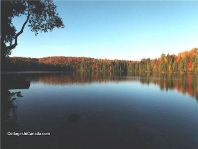 Hector Lake