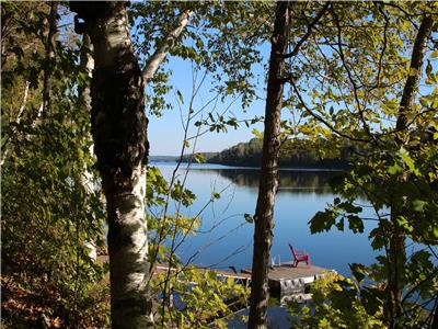 Serenity on Crow Lake