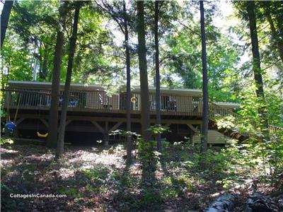 Davern Lake Tree-Top Cottage