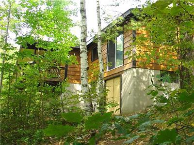 Cottage in the Treetops