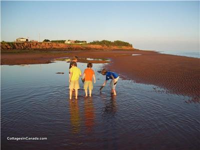 Desired Haven Cottages