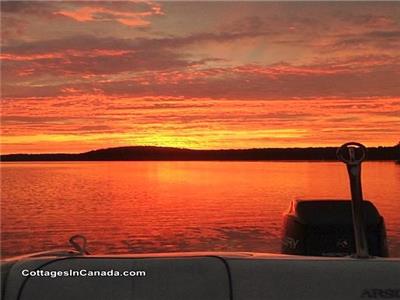 Kashagawigamog Lake-A Piece of Paradise in the Haliburton Highlands *2025 Dates Open*