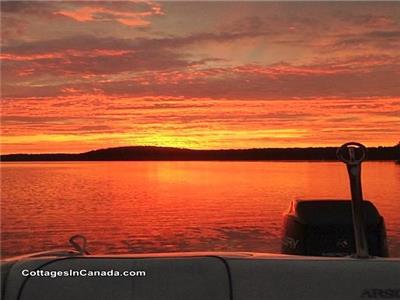 Kashagawigamog Lake-A Piece of Paradise in the Haliburton Highlands *2024 Dates Open*