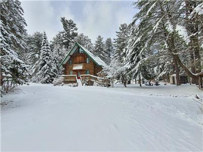 Towering Pines Cottage-Kawarthas-Spacious 4 season-Lakefront Log Cottage